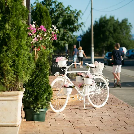 семеен прованс Aheloy