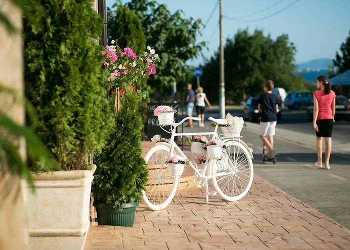 семеен прованс Aheloy